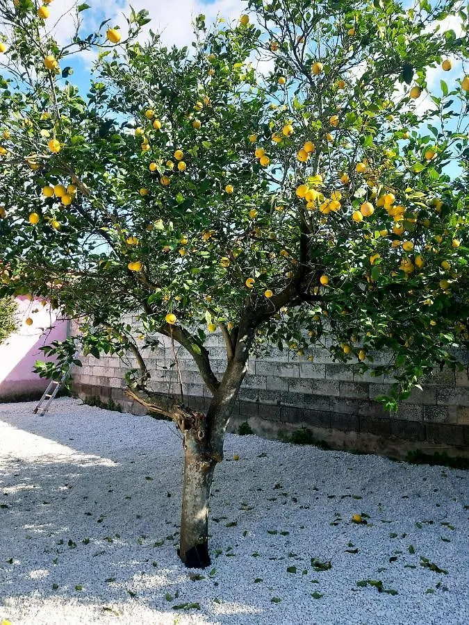 مبيت وإفطار Baratili San Pietro Sa Pramma فندق مبيت وإفطار